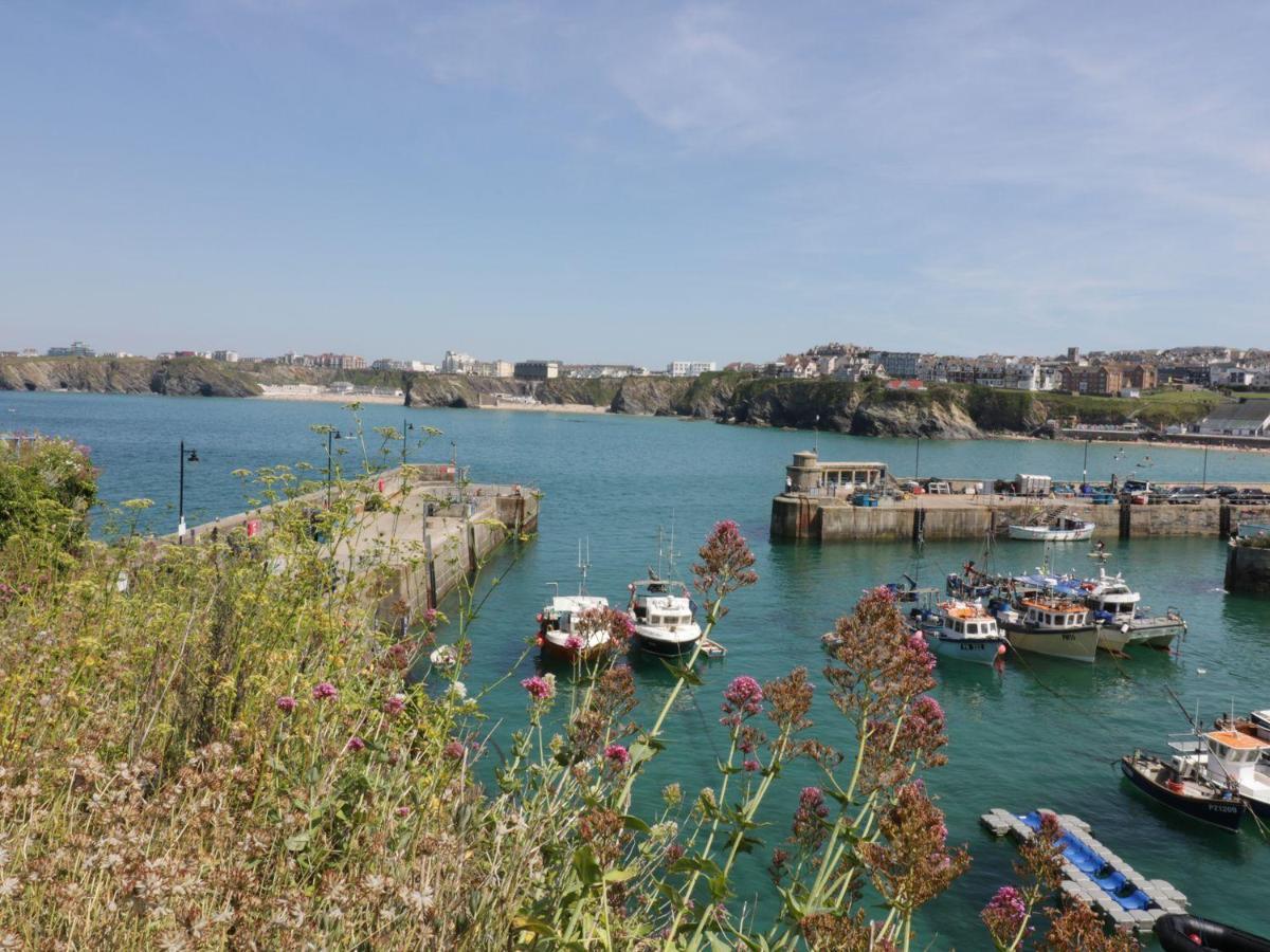 Flat 4 New Quay Exterior foto